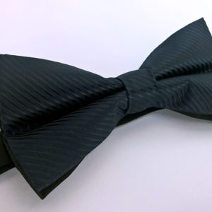 Trendi leptir mašna DS 2101