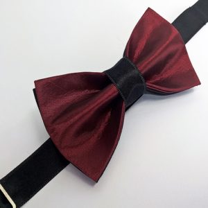 Klasična leptir mašna DS 1029