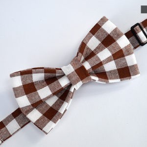 Trendi leptir mašna DS 2055